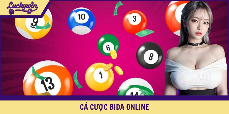 cá cược bida online
